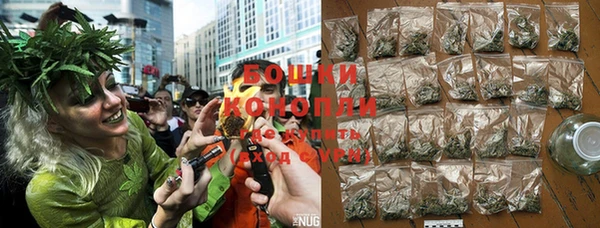 ГАЛЛЮЦИНОГЕННЫЕ ГРИБЫ Бронницы