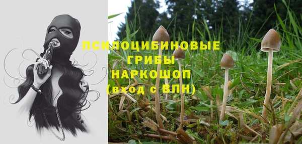 марки lsd Бугульма