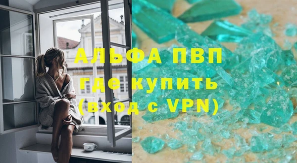 трава Бородино