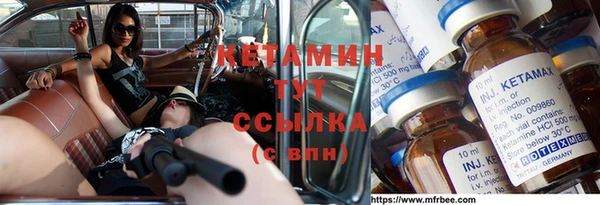 индика Богородицк
