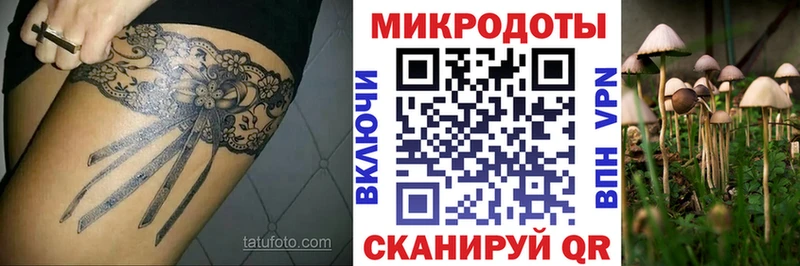 blacksprut ТОР  цена наркотик  Балаково  мориарти какой сайт  Псилоцибиновые грибы GOLDEN TEACHER 