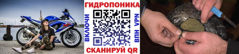 hydra ссылка  Балаково  Канабис OG Kush 